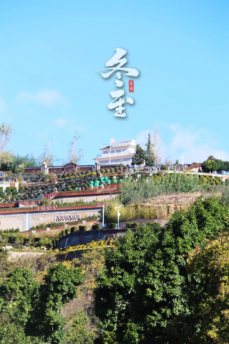 05.jpg