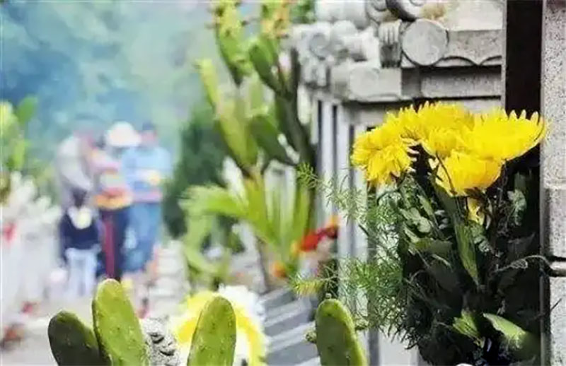 Тڣ己֮