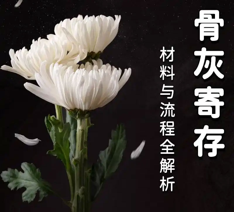 ǻҼĴָϣȫ