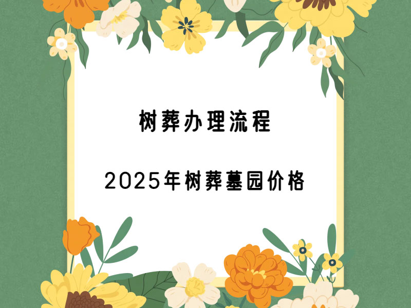 ̡2025Ĺ԰۸