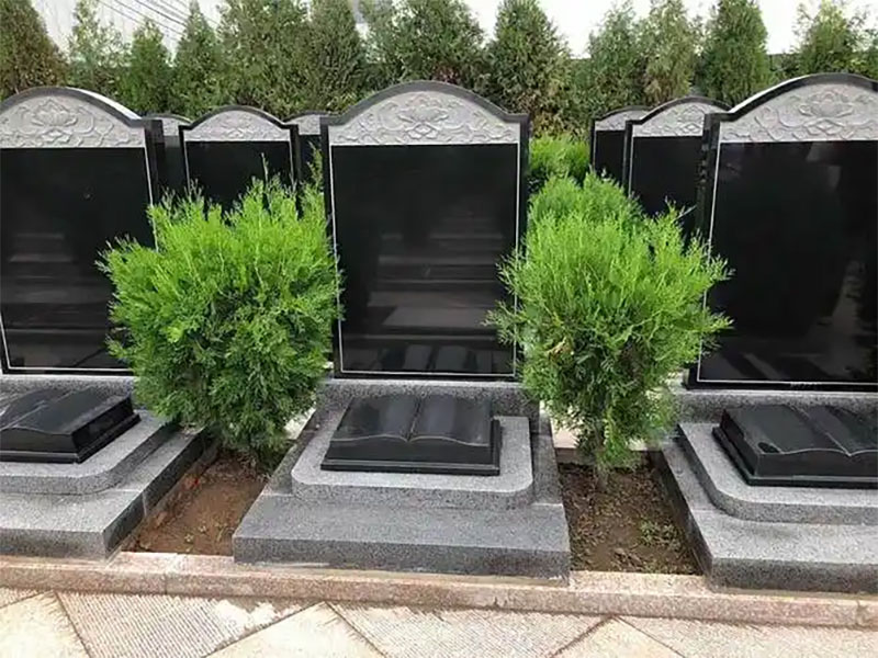 ѡĹĸȽϺ