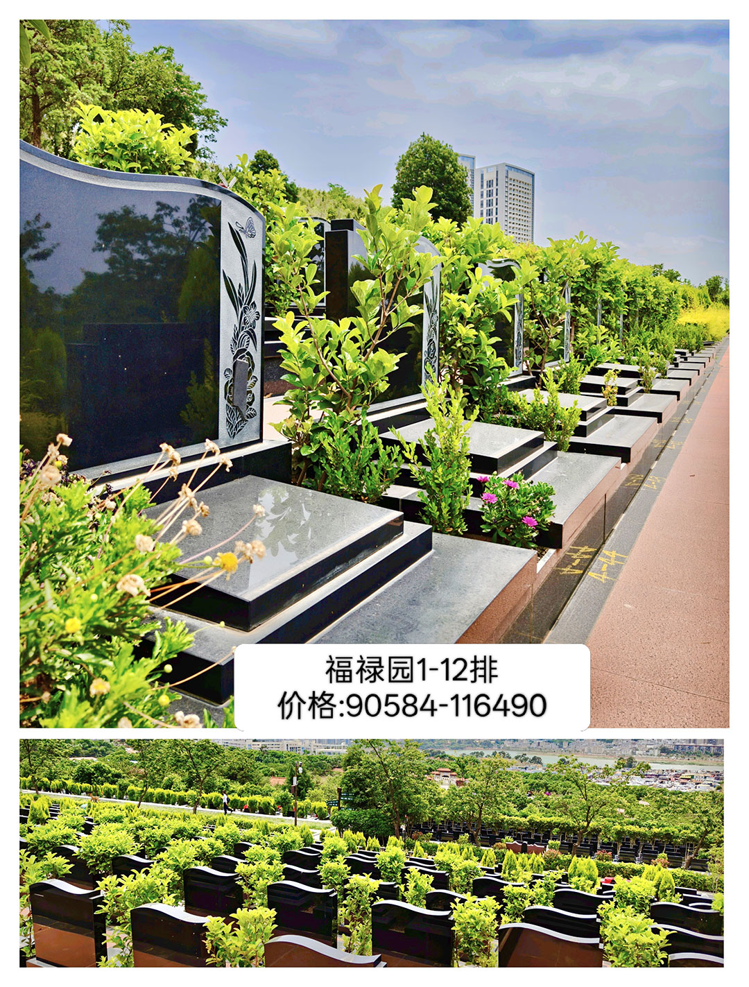 <span class=keyword><a href=http://www.kmbz.com.cn/jlgm.asp target=_blank>깫Ĺ</a></span>»԰1-12 ۸:90584-116490